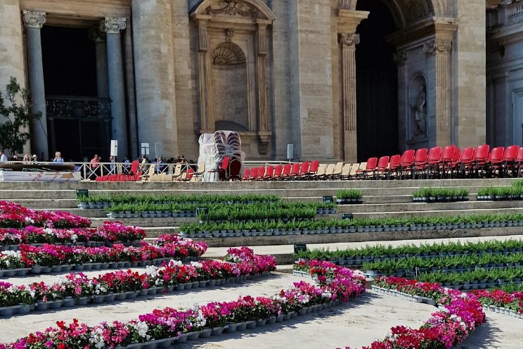 Cyclamen Schoneveld schitteren op Vaticaan