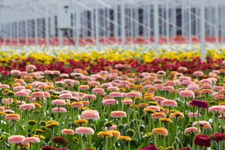 Start project Meten Plantweerbaarheid