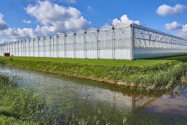 Hoge boete dreigt voor glastuinbouwondernemer