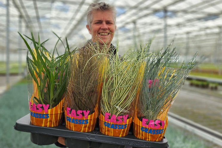 Allure breidt assortiment 'Easy Grasses' uit