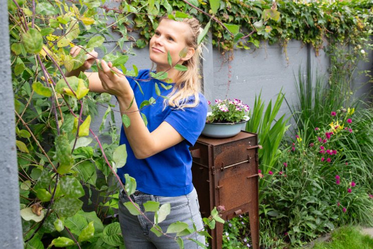 April: vergroenen tuinen, balkons en straten