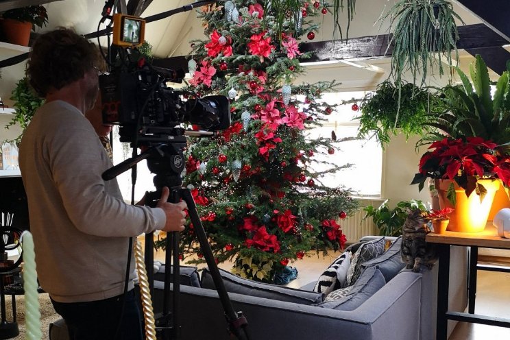 Kerststerren op televisie