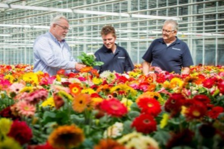 Royal FloraHolland houdt tevredenheidsonderzoek 