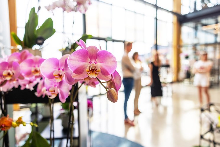 Ontvang een verrassing op de Orchid Inspiration Days