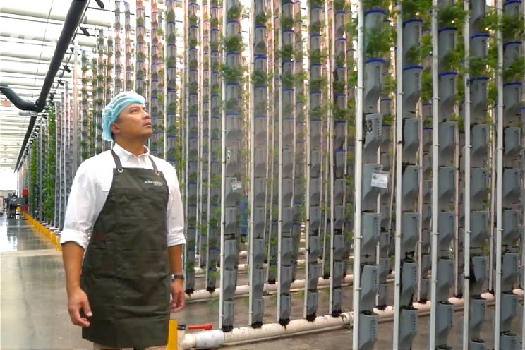 'Revolutie vertical farming'