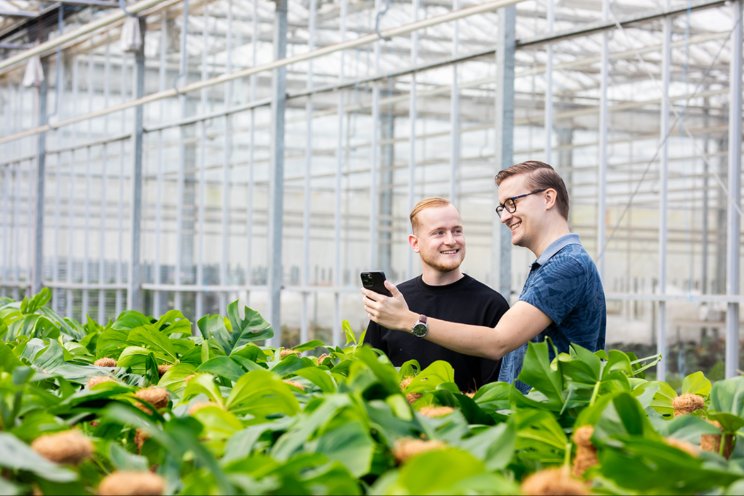 HortiHeat 2.0 krijgt koppeling met Floriday 