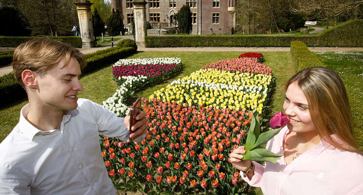 Limburgs tulpenmozaek in bloei