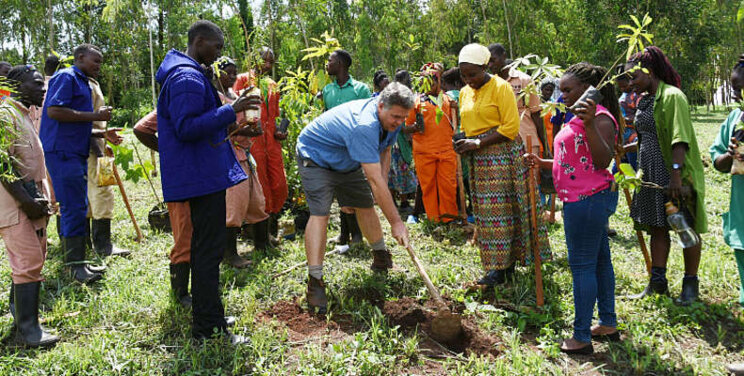 'A tree for every employee'