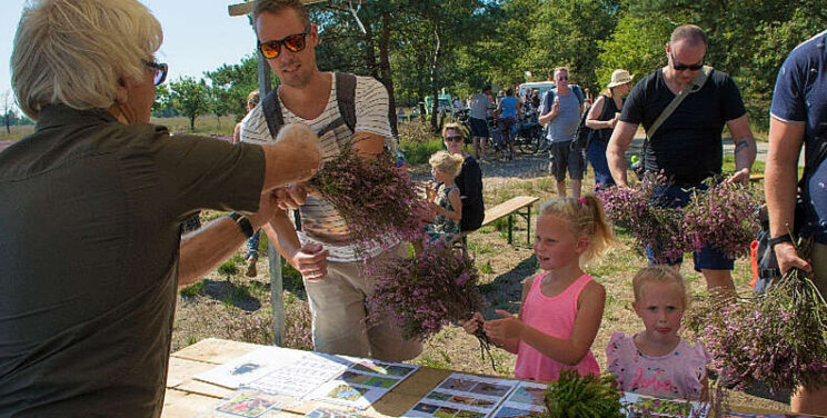 Kom knippen op de Veluwe!