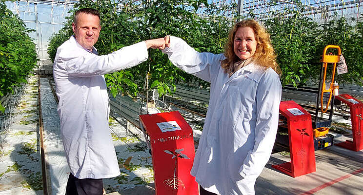 Eurofiber partner Tomatoworld