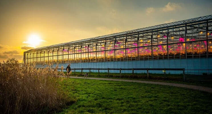 'Go' Lansingerland voor 'Home of Horti Science'