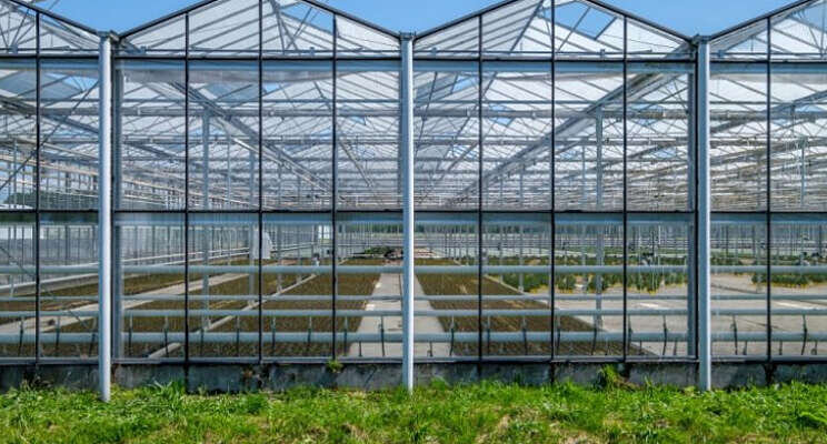 Innovatiecaf 'Circulariteit In de tuinbouw'