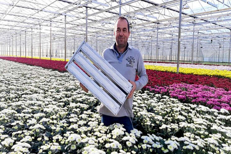 LED's voor nieuwbouw Linflowers en U-Grand