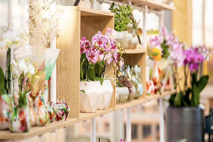 Orchid Inspiration Days te bezoeken op afspraak 