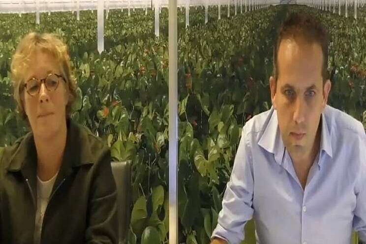 Webinar 'Gezonde planten kweken' online terugkijken