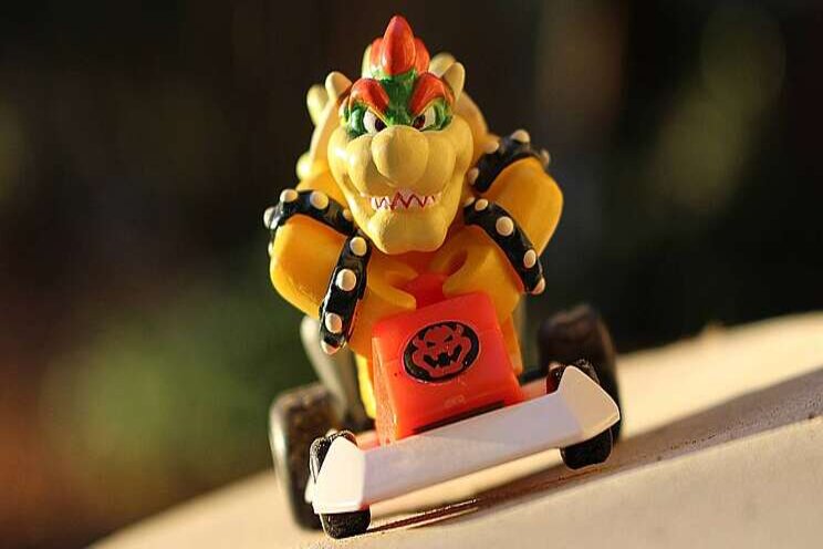 Bowser bestaat echt!