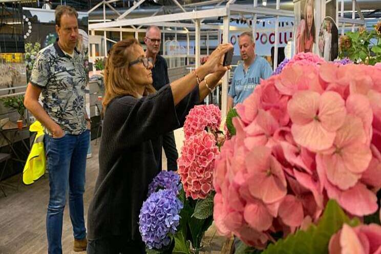 Hortensia als inspiratiebron