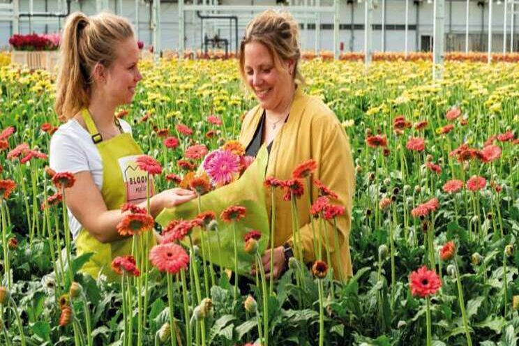 Pluk je eigen boeket nu bij Bloom Makery