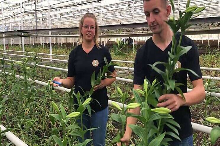 Janneke en Lennart vloggen vanuit de kas van Bredefleur