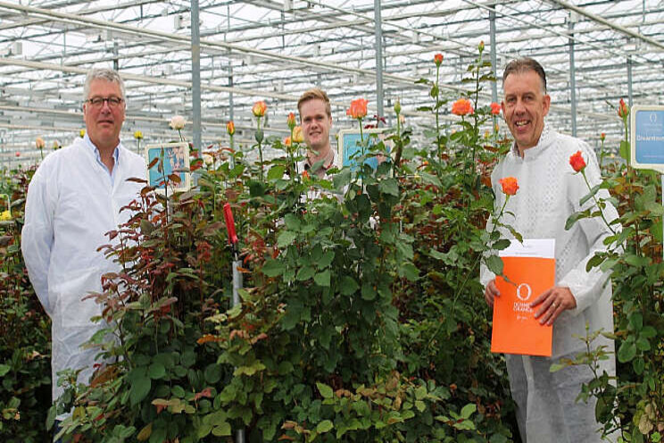 Samenwerking in snijrozen wordt verder uitgebreid