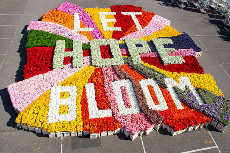 'Let Hope Bloom' verovert harten