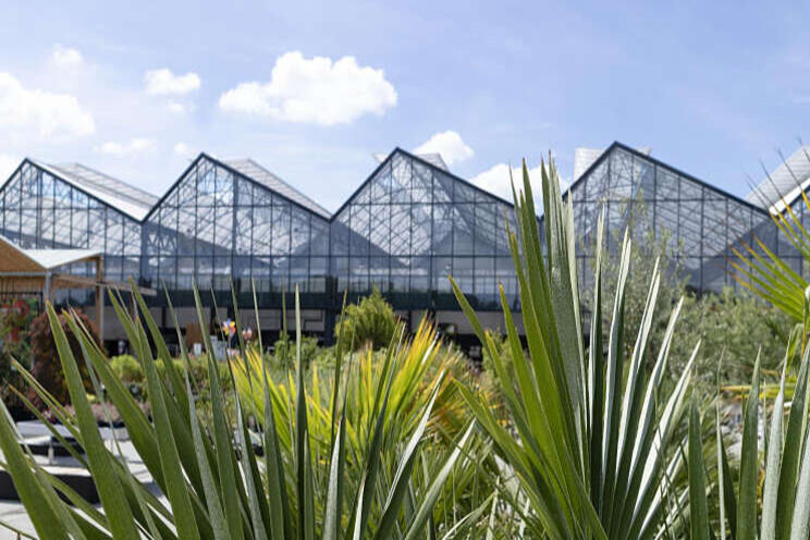 Tuincentra in Belgi mogen deuren weer openen