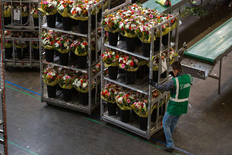 Ali B vandaag met bloemen onderweg naar ouderen