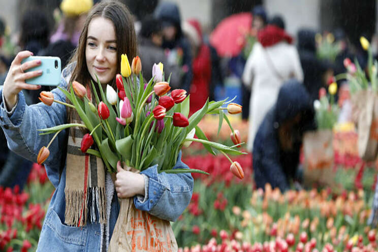 Kleurrijke start nieuwe tulpenseizoen